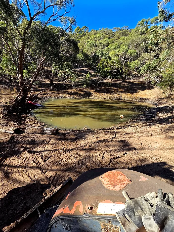 Cleared bank around a private dam after vegetation removal